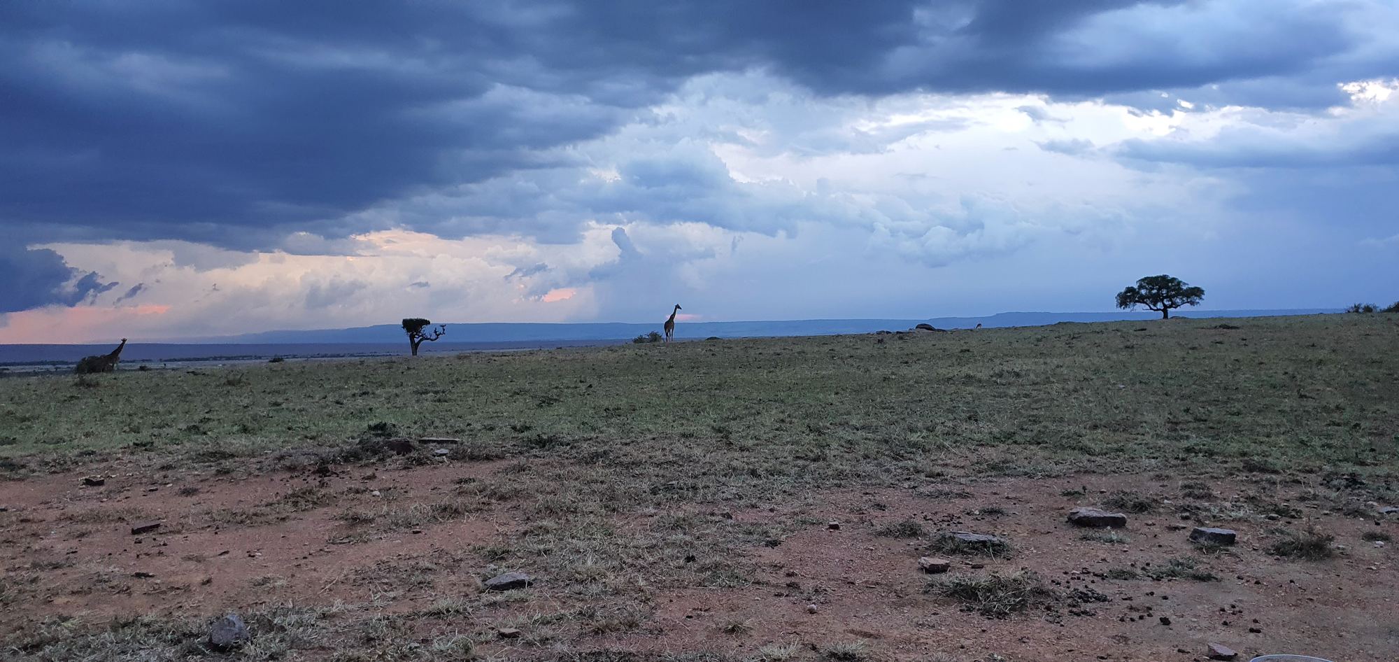 Loyk Mara Camp — Storm over the Mara