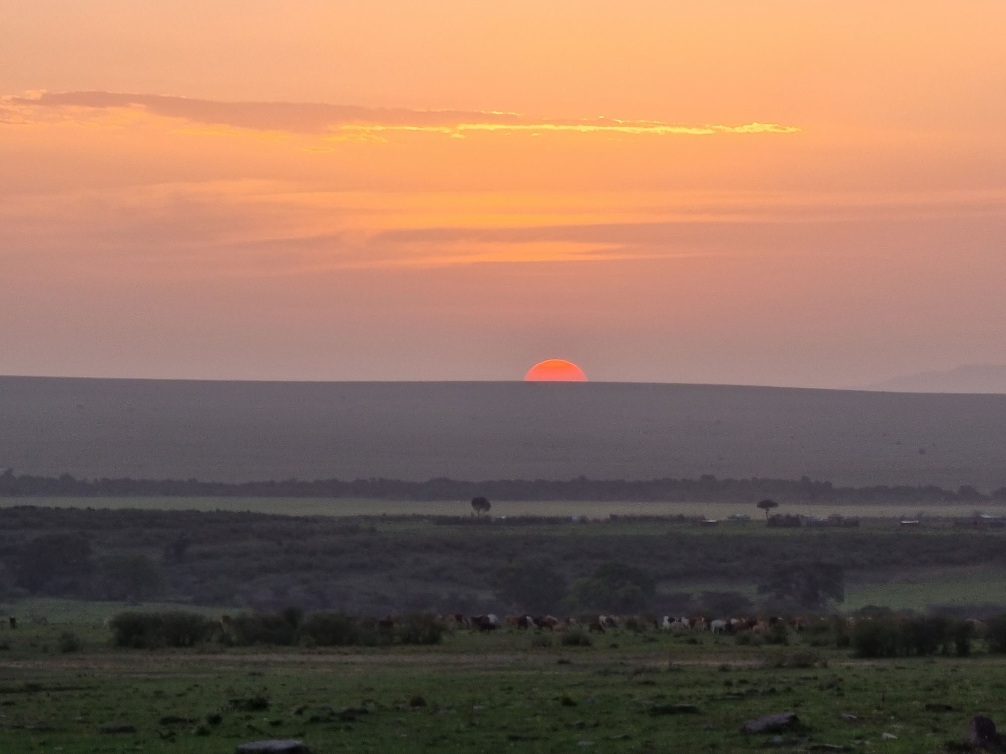 Sundowner