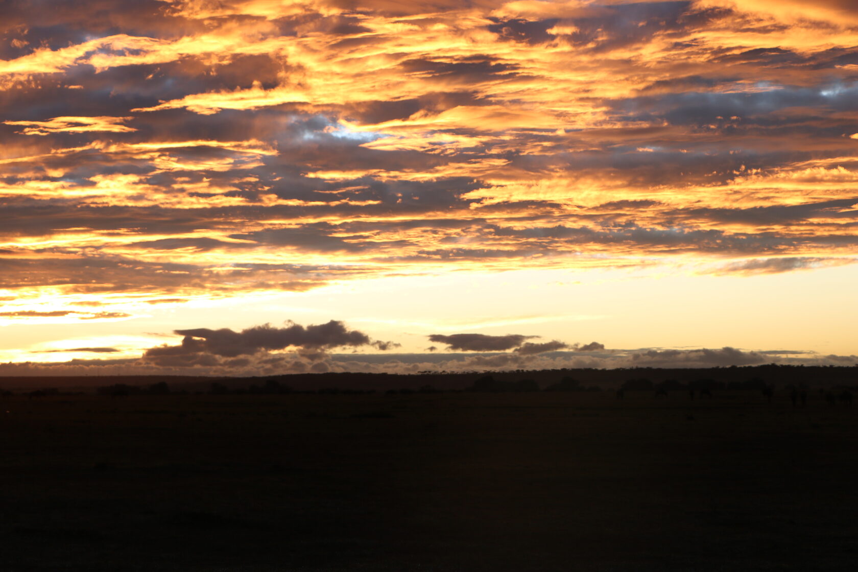 Loyk Mara Camp — Savanna Sunset