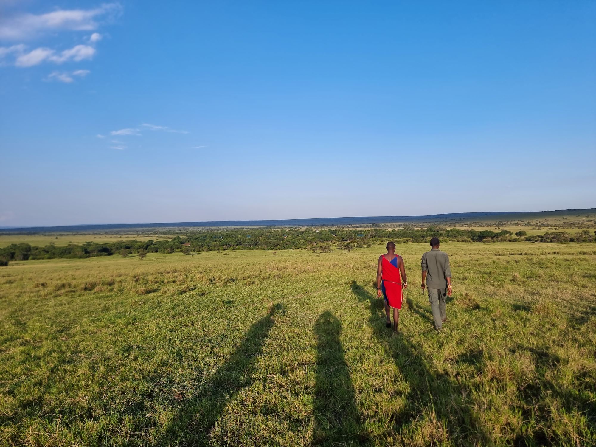 Guided Nature Walk